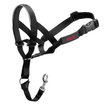 Halti Headcollar, Dog...