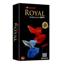 Horizone Royal Guppy Fish...