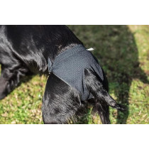 Mikki Dog Hygiene Pants Knickers And Period Pads For Female Bitches On Heat, Large, Black