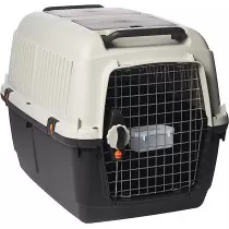 MP Bergamo IATA Carrier...