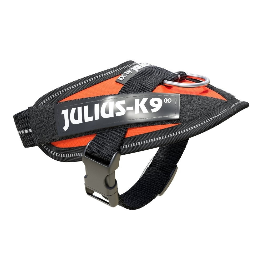 Julius-K9 IDC High Visibility Powerharness, UV Orange, Size Baby 1