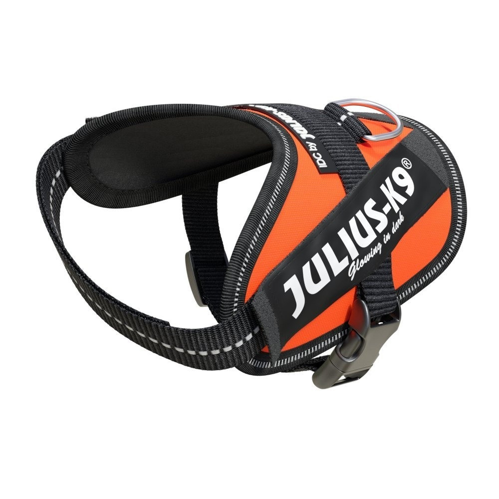 Julius-K9 IDC High Visibility Powerharness, UV Orange, Size Baby 2