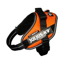 Julius-K9 IDC High Visibility Powerharness, UV Orange, Size Mini