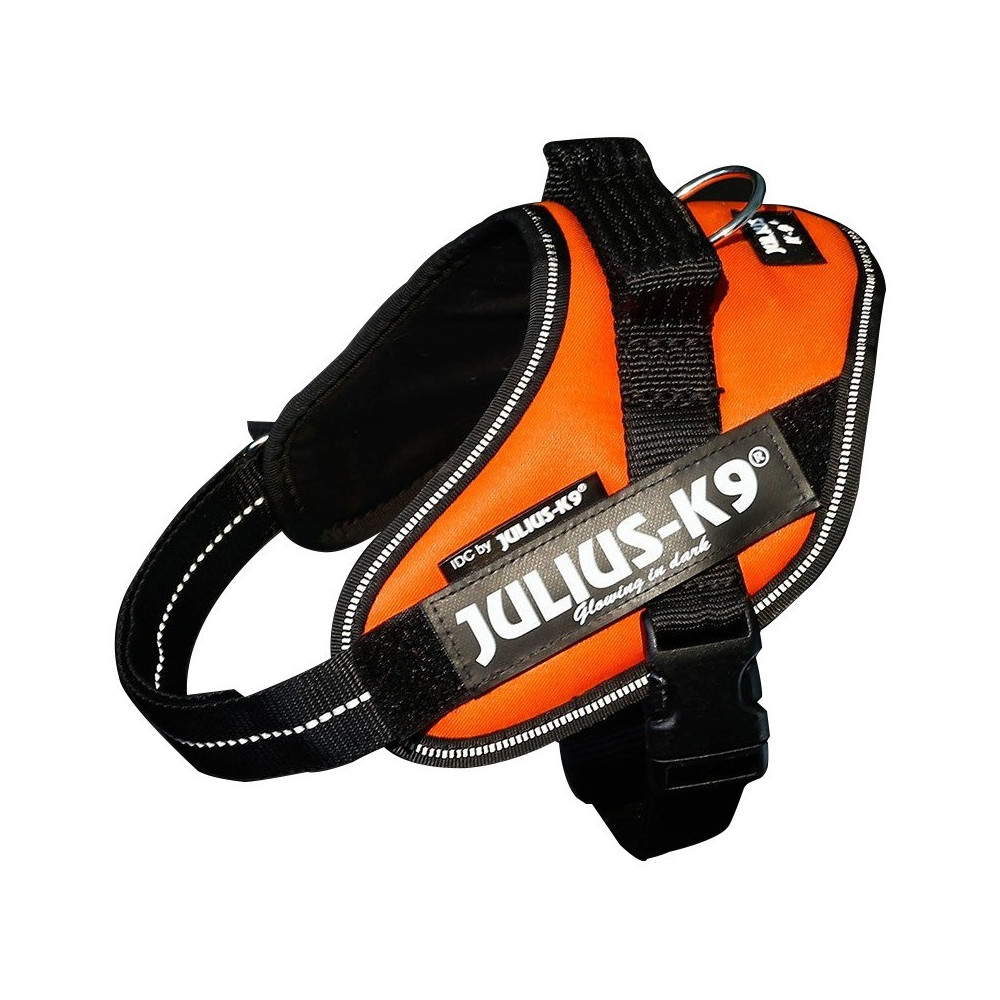 Julius-K9 IDC High Visibility Powerharness, UV Orange, Size Mini