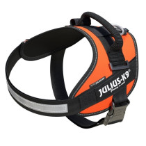 Julius-K9 IDC High Visibility Powerharness, Size 0 UV, Orange