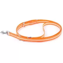 Julius-K9 IDC Lumino...