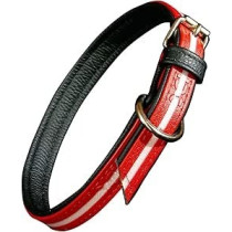 Julius-K9 IDC Lumino Collar, Red, Width 2.5 cm And Length 50 cm