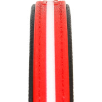 Julius-K9 IDC Lumino Collar, Red, Width 2.5 cm And Length 50 cm