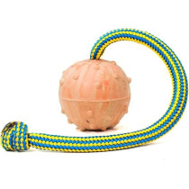 Julius-K9 IDC Natural Rubber Ball With String Dog Toy