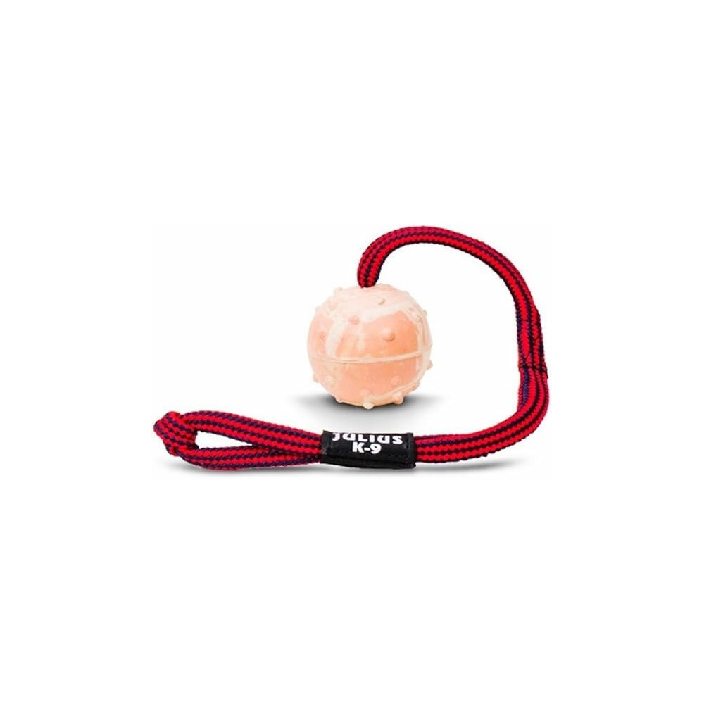 Julius-K9 IDC Natural Rubber Ball With Closeable String, Diameter 5 cm