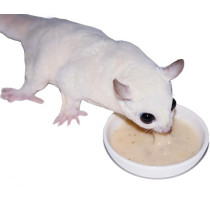 Exotic Nutrition Instant-Hpw Honey And Fruit Recipe, 227 Gram