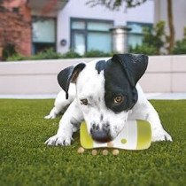 All For Paws Interactives Dog Treat Frenzy Roll Dispenser, Green/White