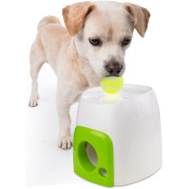 All For Paws Interactive Fetch N Treat Dog Toys, Green/White