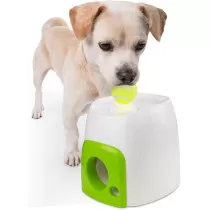 All For Paws Interactive...