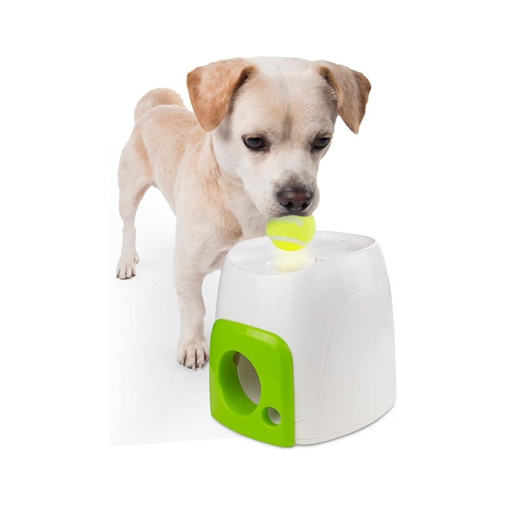 All For Paws Interactive Fetch N Treat Dog Toys, Green/White
