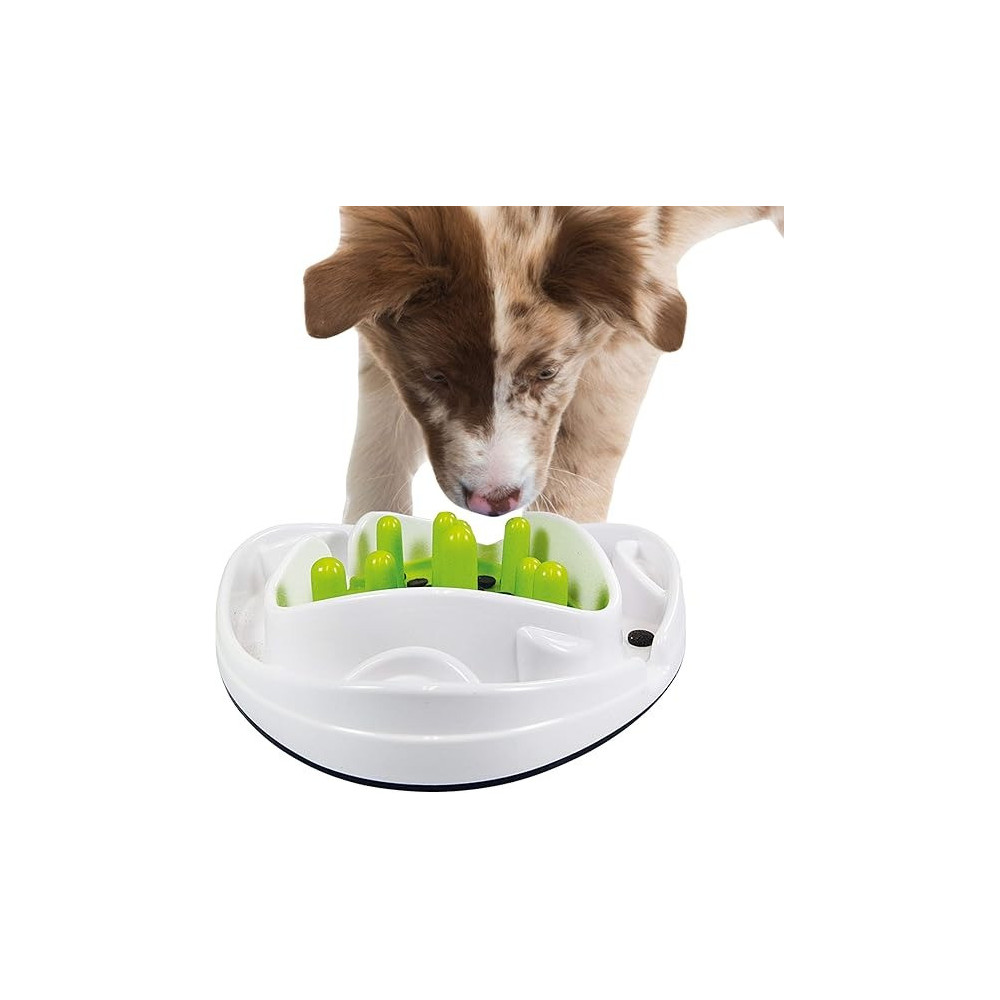 All For Paws Interactives Food Maze Toy For Dogs, Green/White