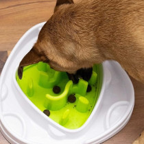 All For Paws Interactives Food Maze Toy For Dogs, Green/White