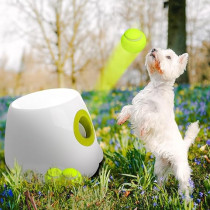 All For Paws Interactive Hyper Fetch Mini Dog Toy, Green/White