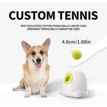 All For Paws Interactive Hyper Fetch Mini Dog Toy, Green/White