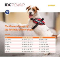 Julius-K9 Idc Powair Harness, Red, Xs
