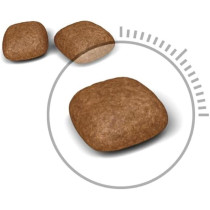 Royal Canin Feline Care Nutrition Urinary Care Cat Food 400g, Dry Cat Foods