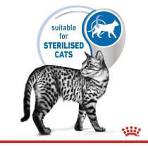Royal Canin Feline Health Nutrition Indoor Cat Wet Food 12X85G Pouches, ‎Gravy & Wet Cat Food