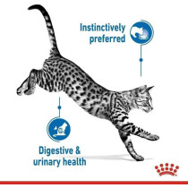 Royal Canin Feline Health Nutrition Indoor Cat Wet Food 12X85G Pouches, ‎Gravy & Wet Cat Food