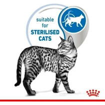 Royal Canin Feline Health Nutrition Indoor Jelly Cat Wet Food 12x85g Pouches