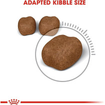 Royal Canin Feline Care Nutrition Oral / Dental Care Cat Food 1.5 Kg | Cat Dry Foods