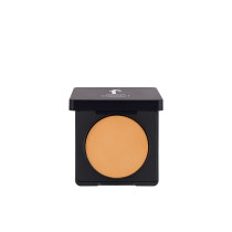 Flormar Np Compact Powder, 102 Almond