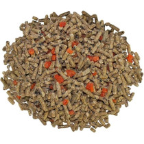 Exotic Nutrition Sugar Glider Diet With Papaya & Eucalyptus, Sugar Glider Food 908g