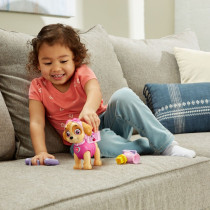 VTech Paw Patrol Skye To The Rescue - English Edition