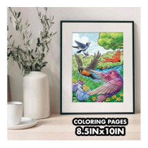 Crayola 40-Page Coloring Book, Bird Watching