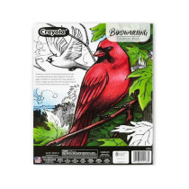 Crayola 40-Page Coloring Book, Bird Watching