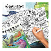 Crayola 40-Page Coloring Book, Bird Watching