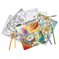 Crayola 40-Page Coloring Book, Wildflowers