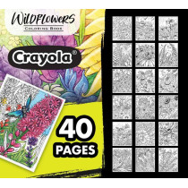Crayola 40-Page Coloring Book, Wildflowers