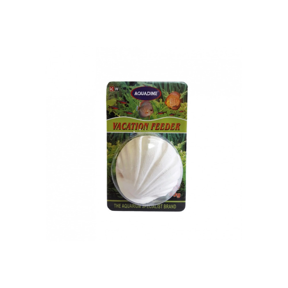 Kw Zone Vacation Block, 40 Gram