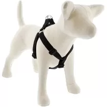 LupinePet Step In Dog...