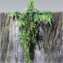 Jbl Terraplanta Madagascan Bamboo, Small