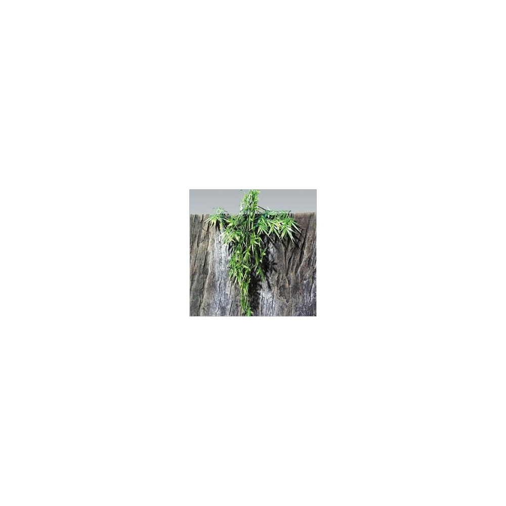 Jbl Terraplanta Madagascan Bamboo, Small