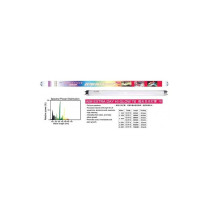Kw Zone Extra Day - Hi - Glow Power, 20W