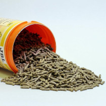 Jbl Agivert Tortoise Food For Tortoises Measuring 10-50 Cm, 1 L