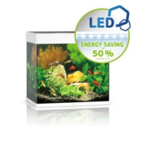 Juwel Lido 120 LED Aquarium, White
