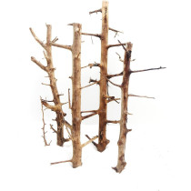 Sv Aquarium Deco Long Hands Wood, Medium(30-45Cm)