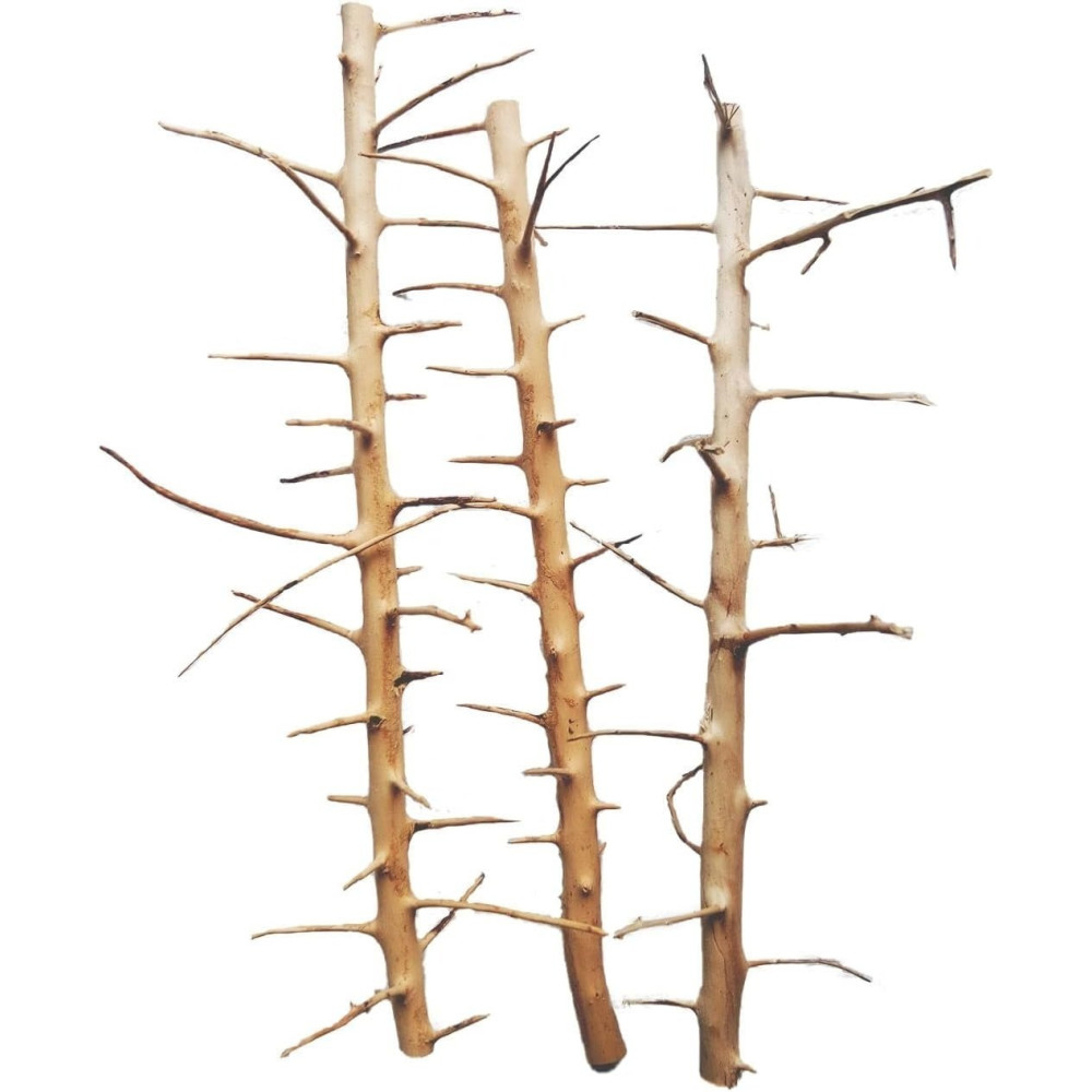 Sv Aquarium Deco Long Hands Wood, Small (20-30Cm)