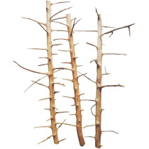Sv Aquarium Deco Long Hands Wood, Small (20-30Cm)
