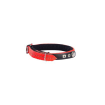 Bobby Lost Cat Collar, Orange