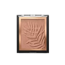 Wet n Wild Coloricon...