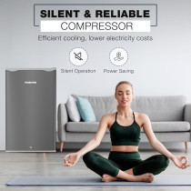 Nikai 125L Gross/90L Net, Single Door Mini Refrigerator, Compact Small Size Fridge With Separate Chiller Compartment, 2 Shelves And Bottle Storage Racks, NRF125SS1 (Silver)